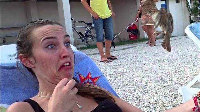 daily picdump 96 pics 41.html - 96 HD Photos | Premium Gallery 2018