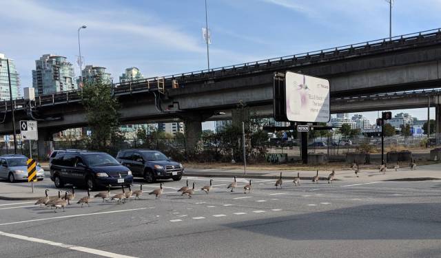 daily picdump 96 pics 41.html - 96 HD Photos | Premium Gallery 2018