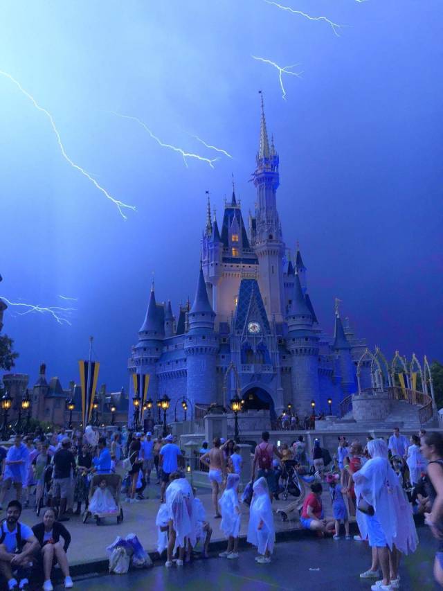 daily picdump 96 pics 41.html - 96 HD Photos | Premium Gallery 2018