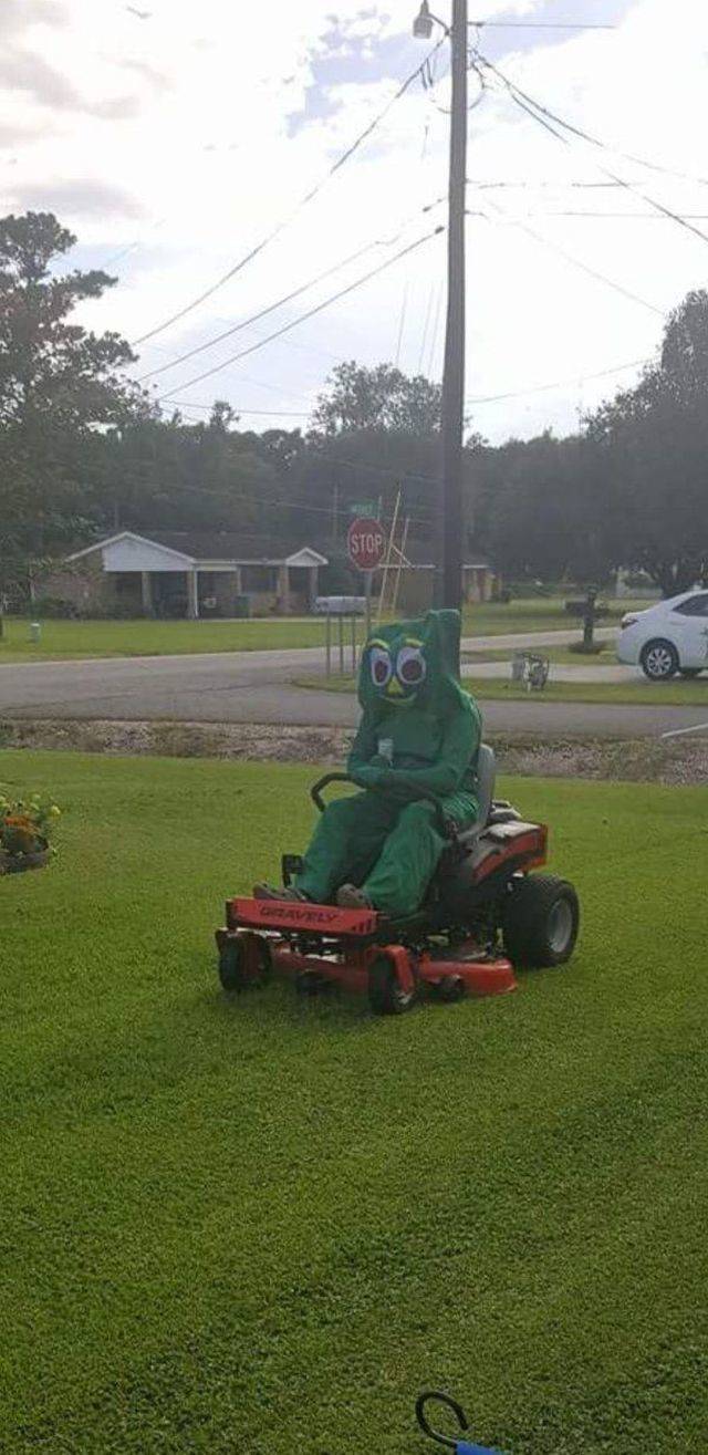 daily picdump 96 pics 41.html - 96 HD Photos | Premium Gallery 2018