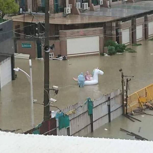 daily picdump 96 pics 16.html - 96 HD Photos | Premium Gallery 2018