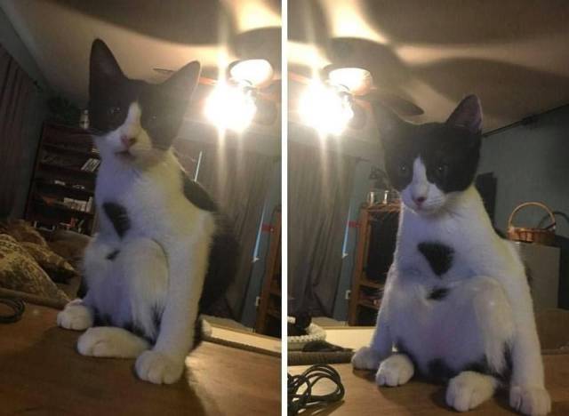 daily picdump 96 pics 16.html - 96 HD Photos | Premium Gallery 2018