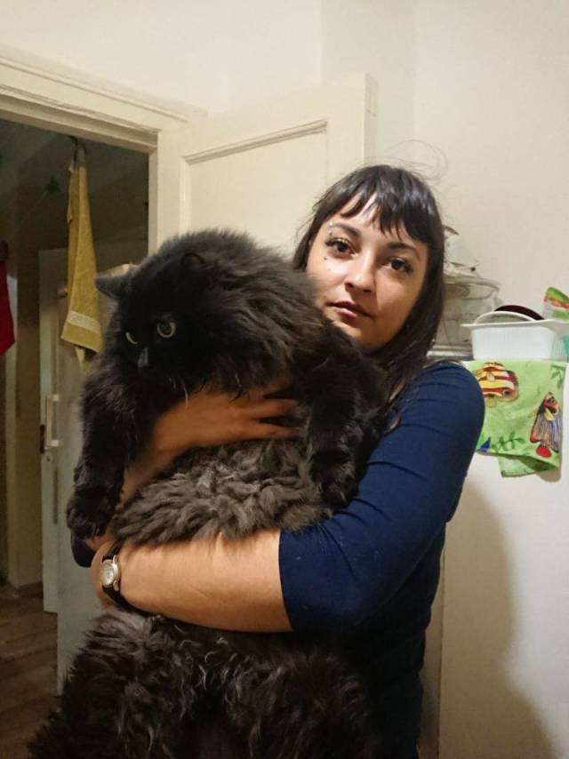 daily picdump 96 pics 16.html - 96 HD Photos | Premium Gallery 2018