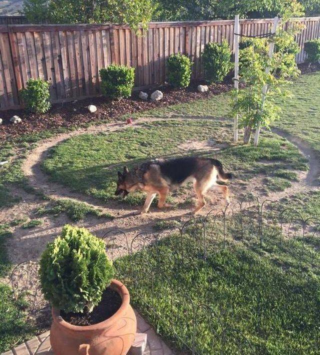 daily picdump 96 pics 16.html - 96 HD Photos | Premium Gallery 2018