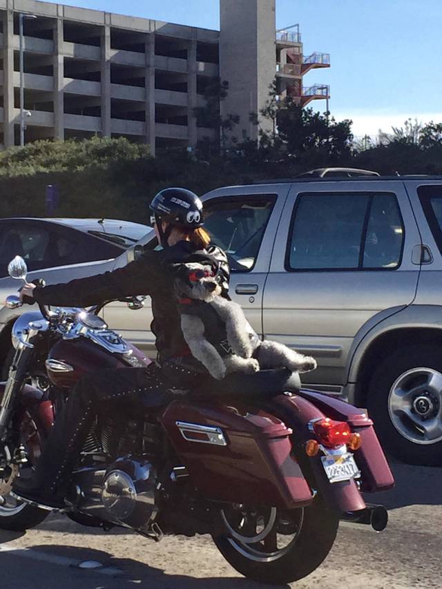 morning picdump 51 pics 10.html - 51 HD Photos | Premium Gallery 2018