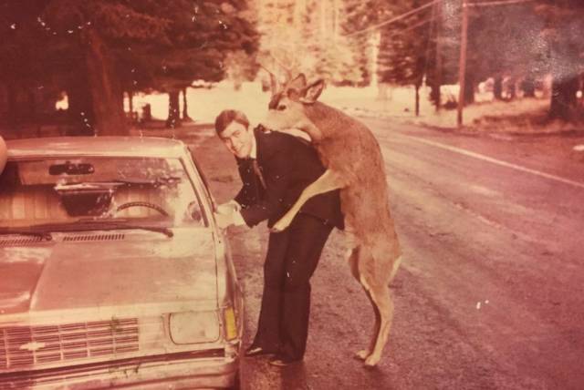 daily picdump 95 pics 15.html - 95 HD Photos | Premium Gallery 2018