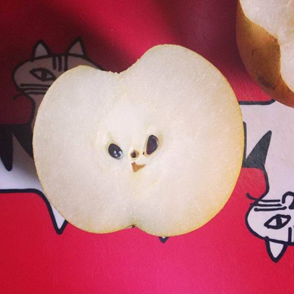 daily picdump 95 pics 15.html - 95 HD Photos | Premium Gallery 2018