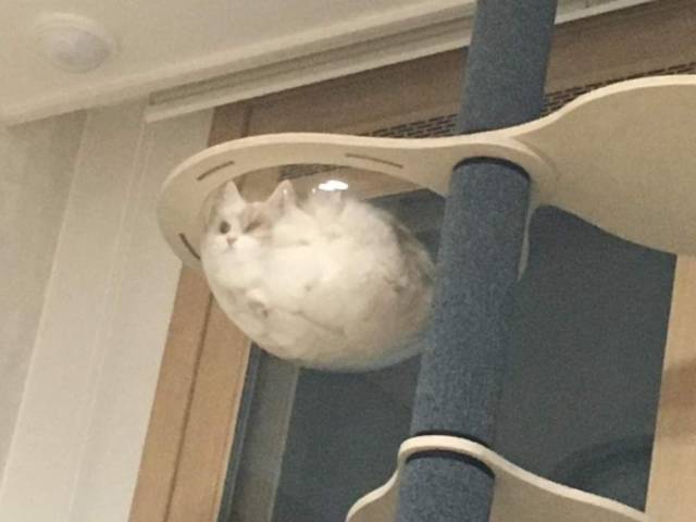 daily picdump 95 pics 15.html - 95 HD Photos | Premium Gallery 2018