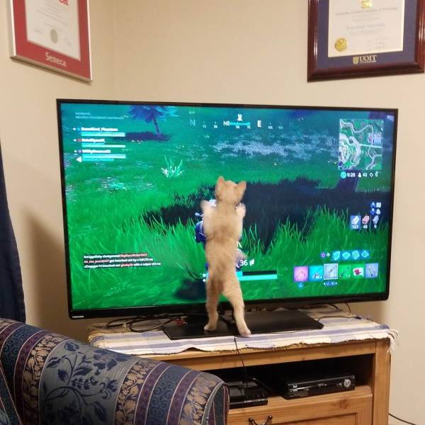 daily picdump 95 pics 15.html - 95 HD Photos | Premium Gallery 2018