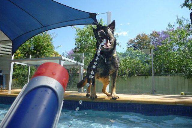 daily picdump 95 pics 15.html - 95 HD Photos | Premium Gallery 2018