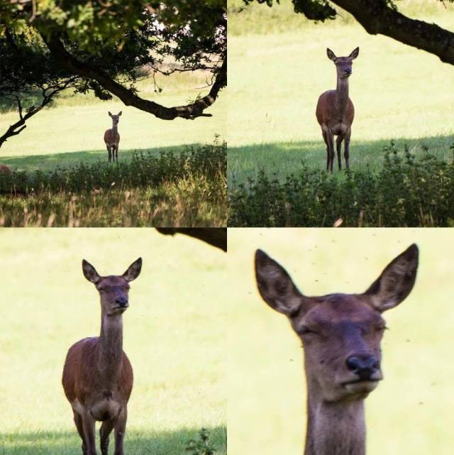 daily picdump 95 pics 15.html - 95 HD Photos | Premium Gallery 2018