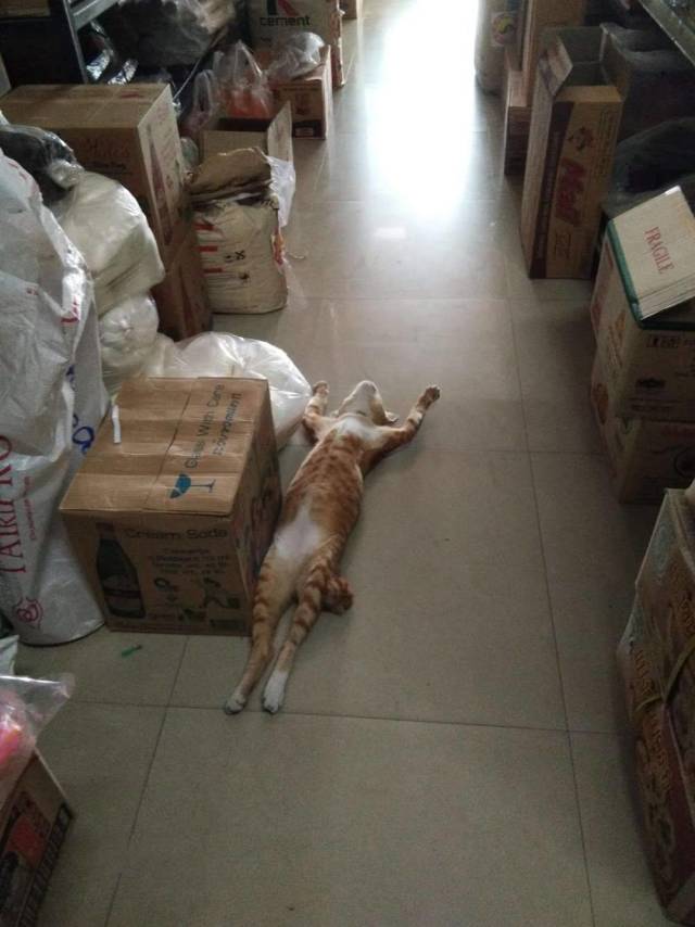 daily picdump 95 pics 15.html - 95 HD Photos | Premium Gallery 2018