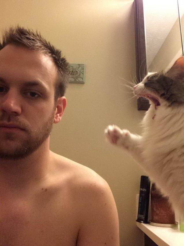 daily picdump 95 pics 15.html - 95 HD Photos | Premium Gallery 2018