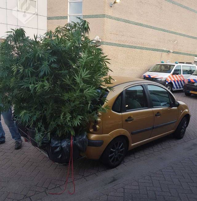 daily picdump 95 pics 15.html - 95 HD Photos | Premium Gallery 2018