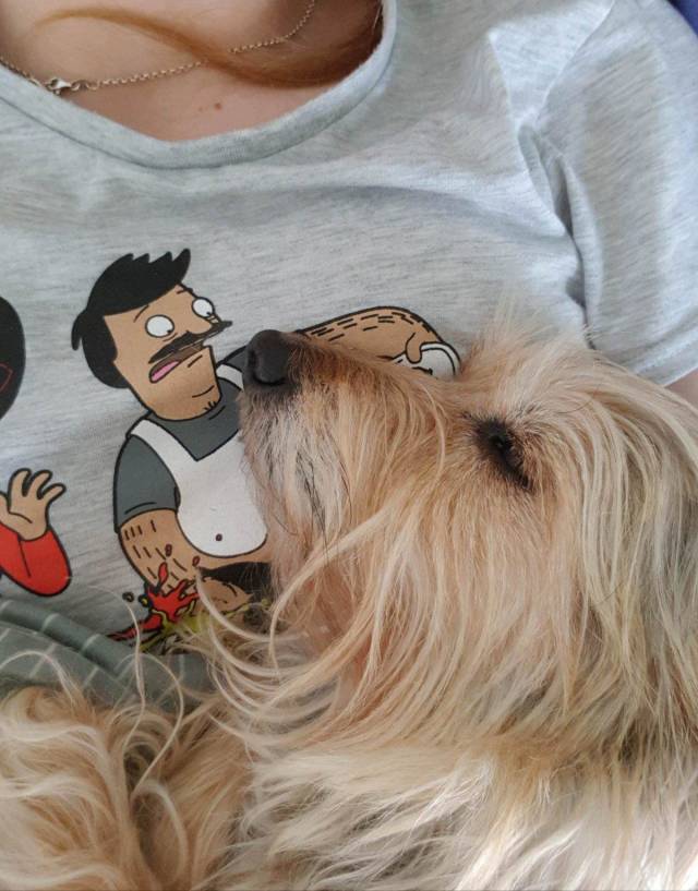 daily picdump 95 pics 15.html - 95 HD Photos | Premium Gallery 2018