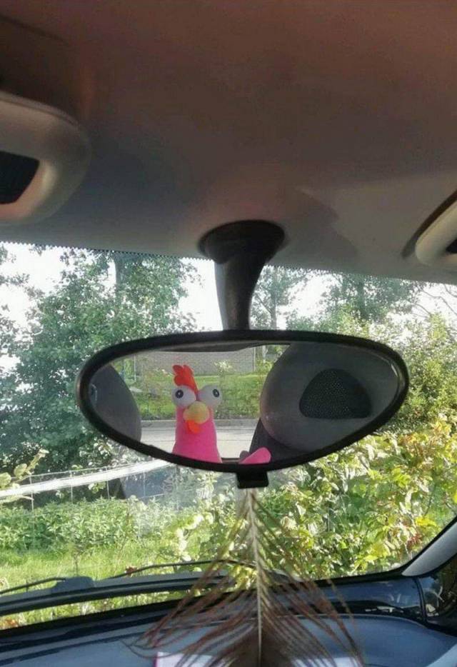 daily picdump 95 pics 15.html - 95 HD Photos | Premium Gallery 2018