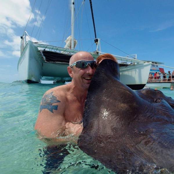 daily picdump weekend edition 72 pics 5.html - 72 HD Photos | Premium Gallery 2018