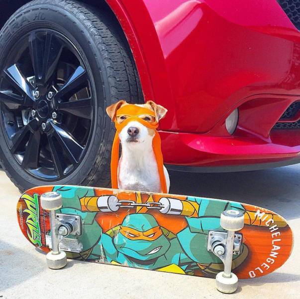 daily picdump weekend edition 72 pics 5.html - 72 HD Photos | Premium Gallery 2018