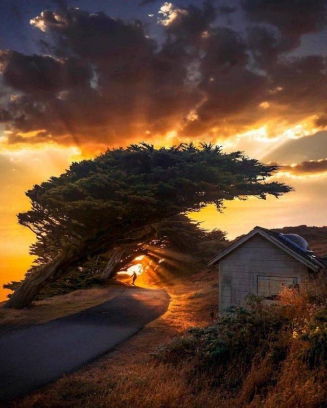 Daily Picdump [WEEKEND EDITION]