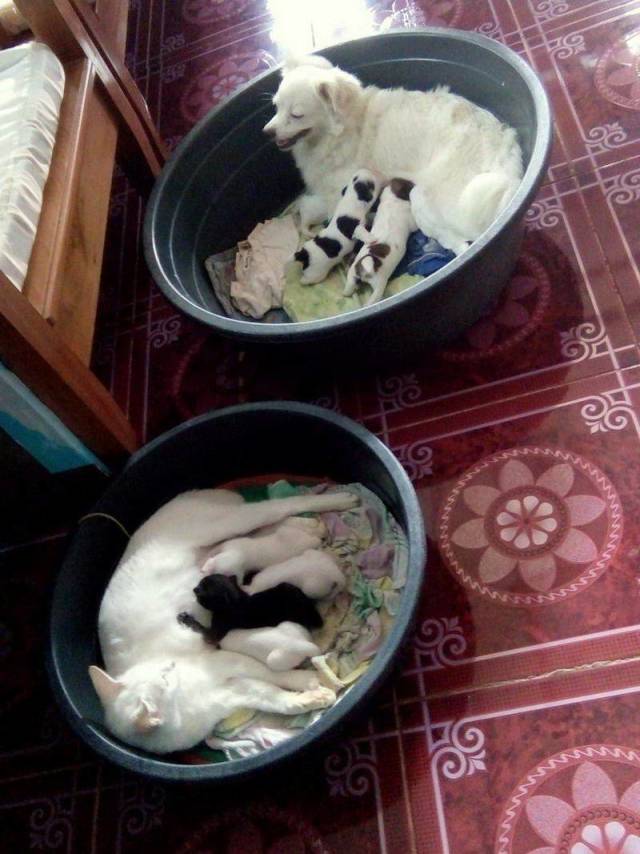 daily picdump weekend edition 72 pics 5.html - 72 HD Photos | Premium Gallery 2018