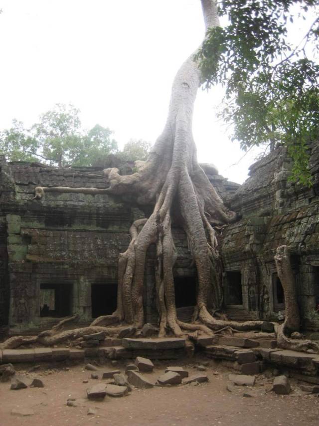 daily picdump weekend edition 72 pics 5.html - 72 HD Photos | Premium Gallery 2018