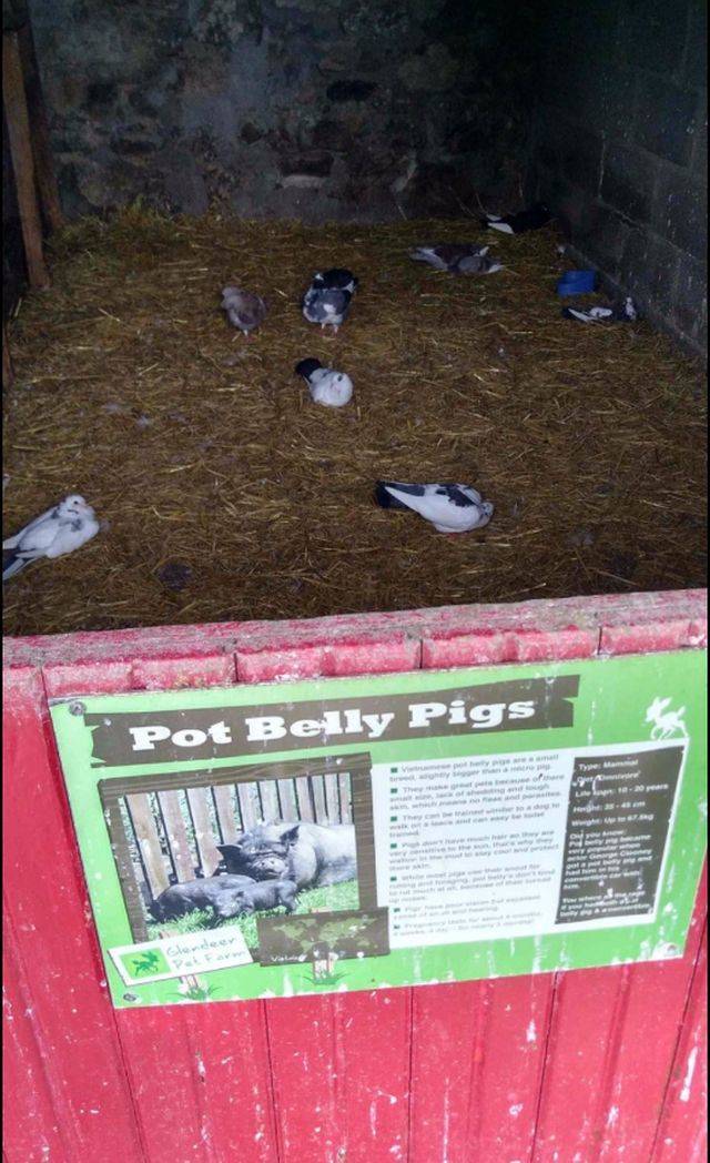 daily picdump weekend edition 72 pics 5.html - 72 HD Photos | Premium Gallery 2018