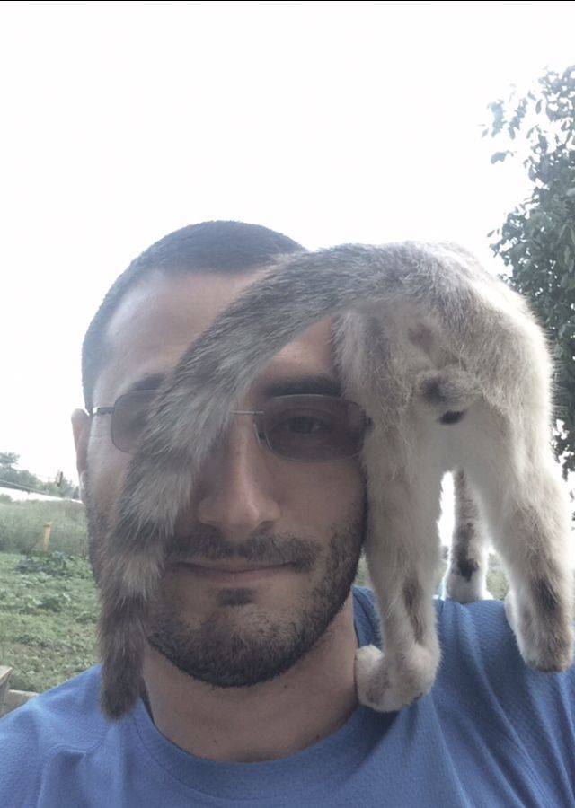 daily picdump weekend edition 72 pics 5.html - 72 HD Photos | Premium Gallery 2018