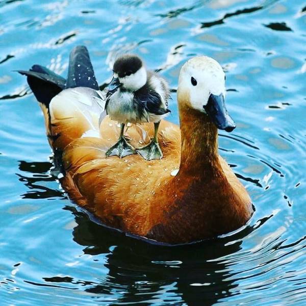 daily picdump 103 pics 3.html - 103 HD Photos | Premium Gallery 2018