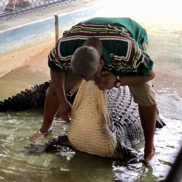 daily picdump 103 pics 3.html - 103 HD Photos | Premium Gallery 2018