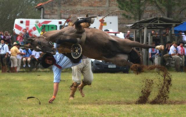 daily picdump 103 pics 3.html - 103 HD Photos | Premium Gallery 2018