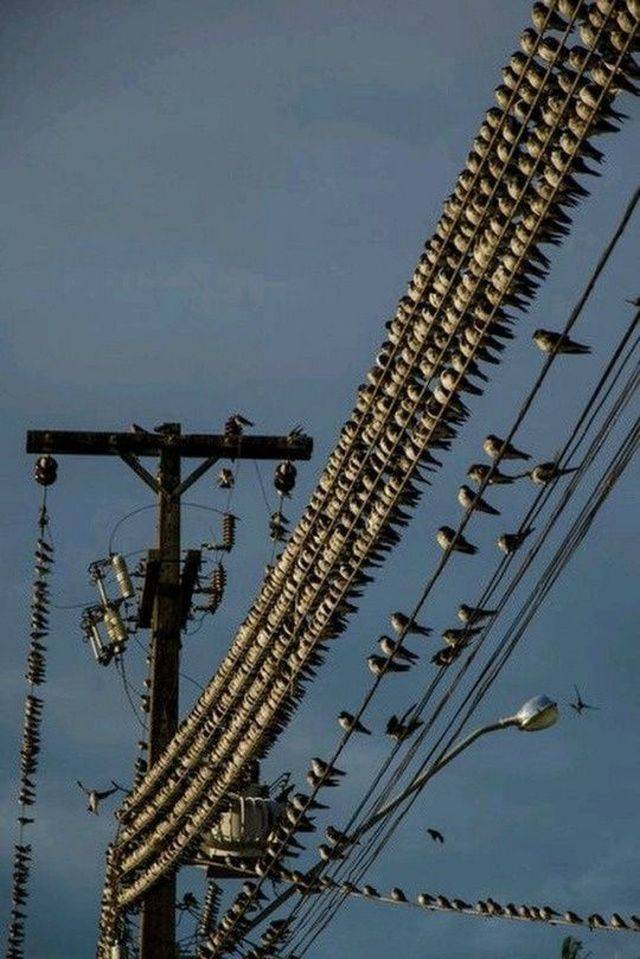 daily picdump 103 pics 3.html - 103 HD Photos | Premium Gallery 2018