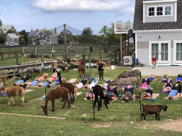 daily picdump 99 pics 46.html - 99 HD Photos | Premium Gallery 2018