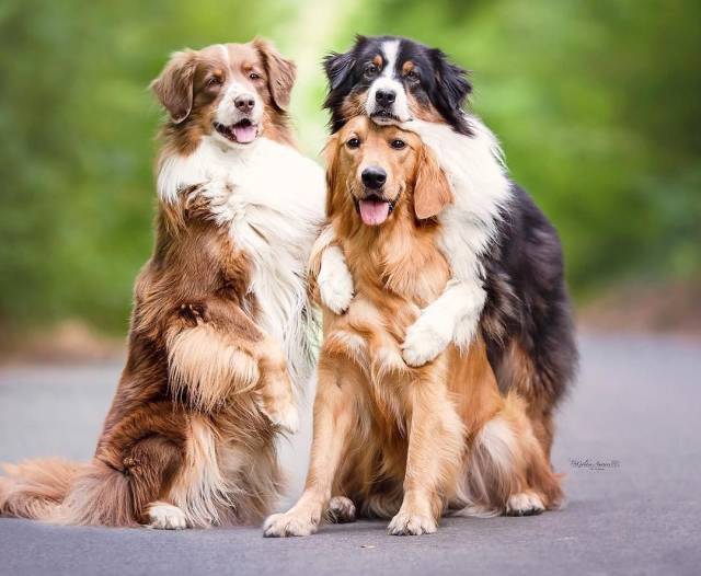 daily picdump 99 pics 46.html - 99 HD Photos | Premium Gallery 2018