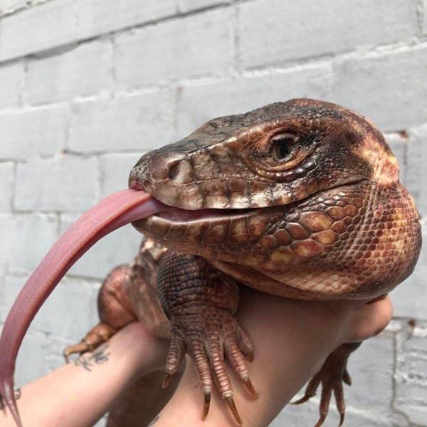 daily picdump 99 pics 46.html - 99 HD Photos | Premium Gallery 2018