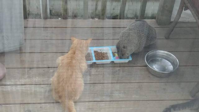 daily picdump 99 pics 46.html - 99 HD Photos | Premium Gallery 2018