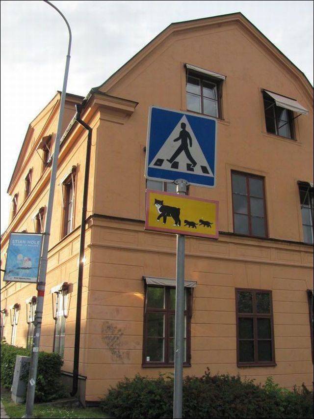 daily picdump 99 pics 46.html - 99 HD Photos | Premium Gallery 2018