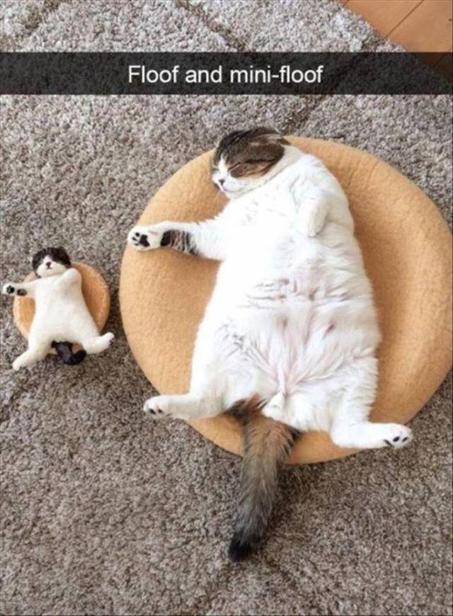 daily picdump 99 pics 46.html - 99 HD Photos | Premium Gallery 2018