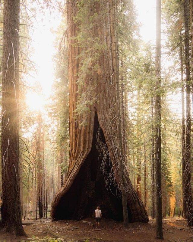 daily picdump 99 pics 46.html - 99 HD Photos | Premium Gallery 2018