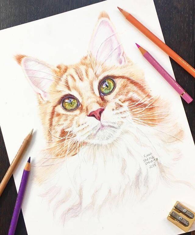 daily picdump 99 pics 46.html - 99 HD Photos | Premium Gallery 2018