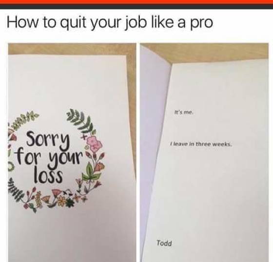 funny picdump 51 pics 17.html - 51 HD Photos | Premium Gallery 2018