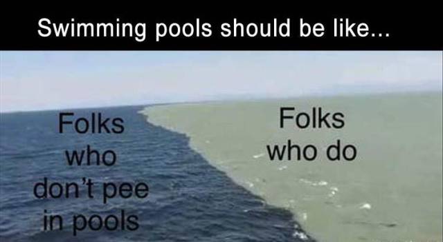 funny picdump 51 pics 17.html - 51 HD Photos | Premium Gallery 2018