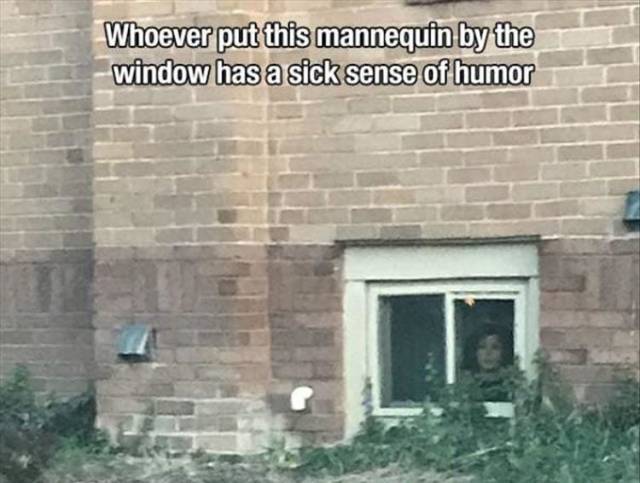 funny picdump 51 pics 17.html - 51 HD Photos | Premium Gallery 2018