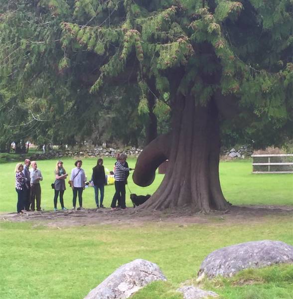 morning picdump 52 pics 21.html - 52 HD Photos | Premium Gallery 2018