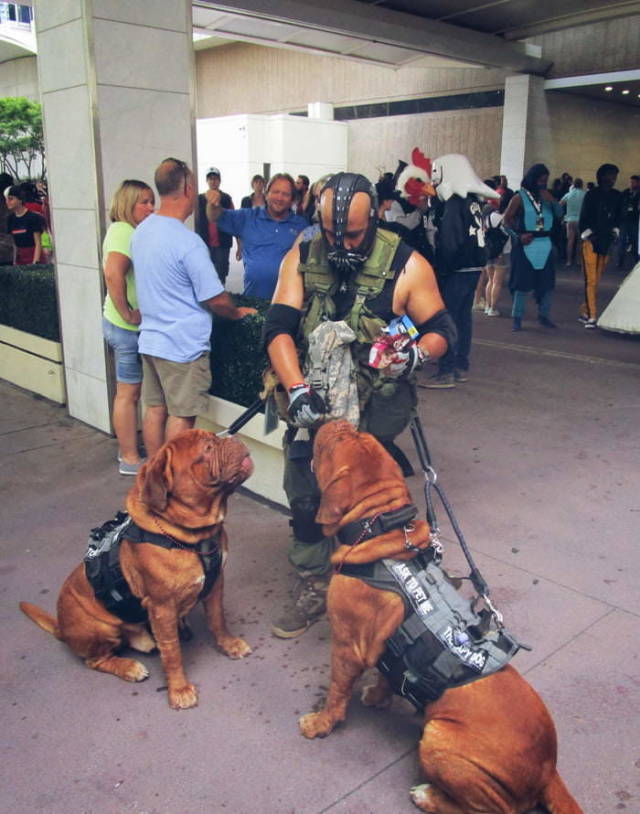 morning picdump 52 pics 21.html - 52 HD Photos | Premium Gallery 2018