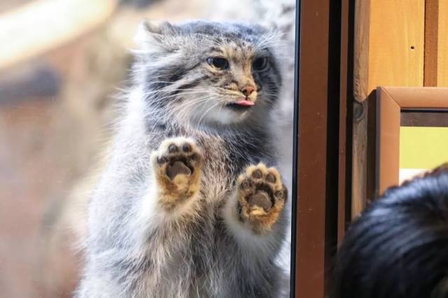 daily picdump 96 pics 41.html - 96 HD Photos | Premium Gallery 2018