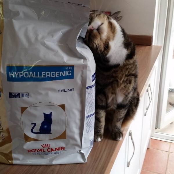 daily picdump 96 pics 41.html - 96 HD Photos | Premium Gallery 2018