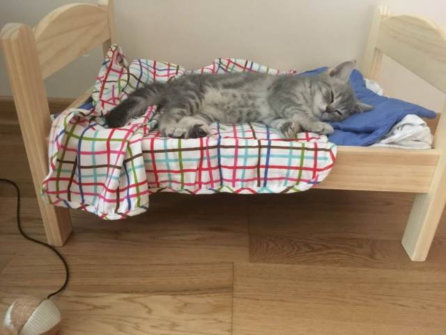 daily picdump 96 pics 41.html - 96 HD Photos | Premium Gallery 2018