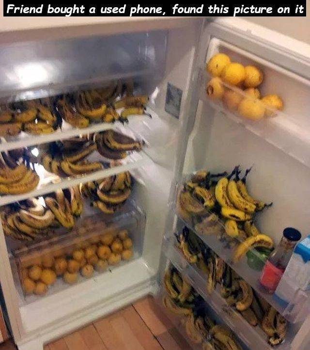 daily picdump 96 pics 41.html - 96 HD Photos | Premium Gallery 2018