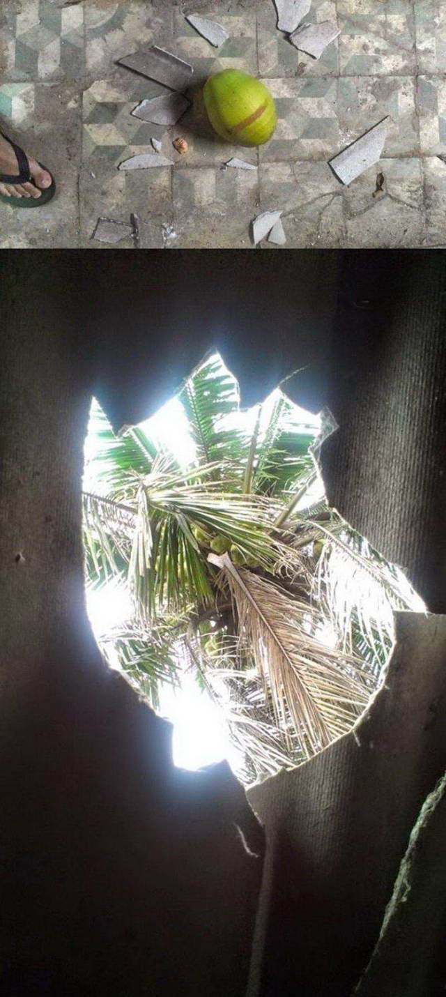 daily picdump 96 pics 41.html - 96 HD Photos | Premium Gallery 2018