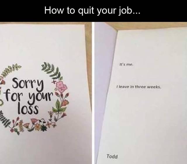 funny picdump 52 pics 4.html - 52 HD Photos | Premium Gallery 2018